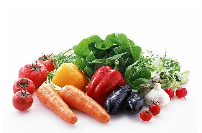 佛山蔬菜配送 佛山蔬菜配送