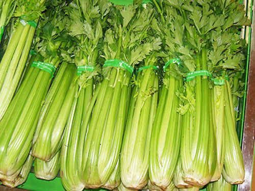 佛山農產品配送