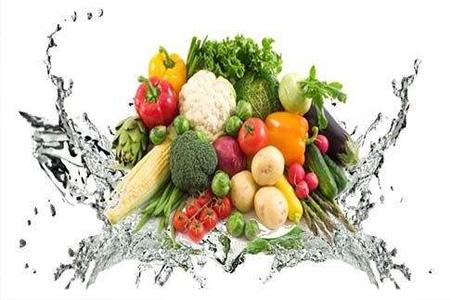 有機(jī)蔬菜配送